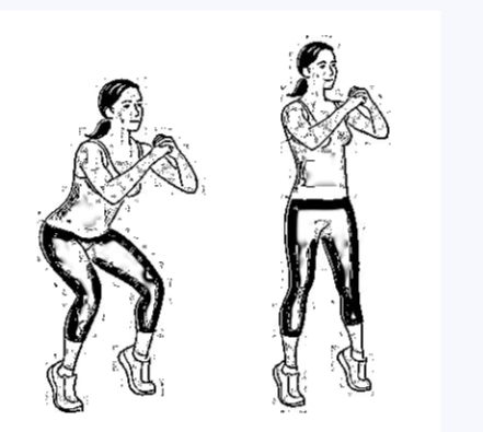 Toe Elevated Squats Benefits 