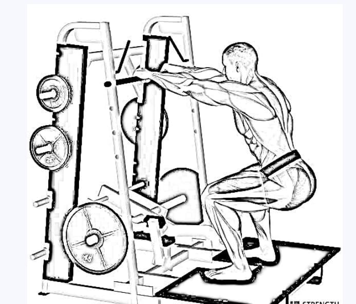 belt squats benefits for hip