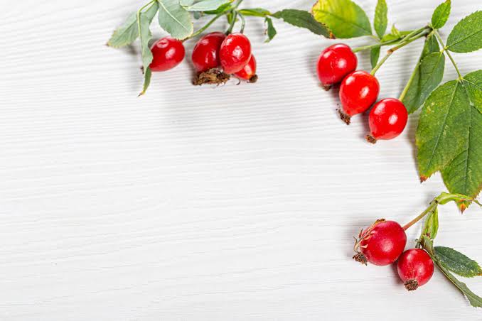 Rosehip Benefits