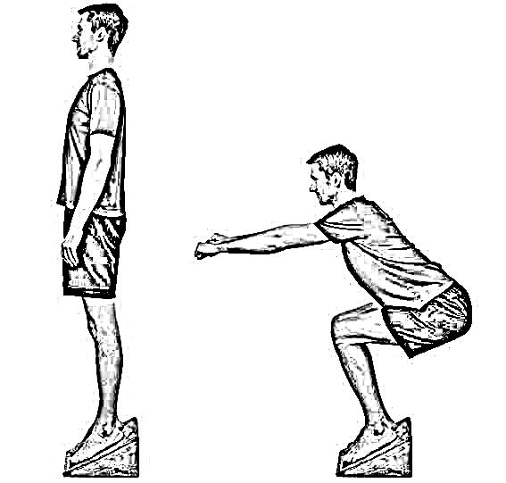 benefits of decline squats