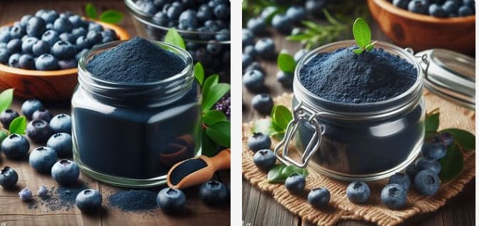 Wild Blueberry Powder health benefits