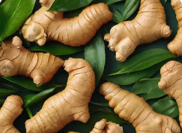 Sexual Benefits of Ginger