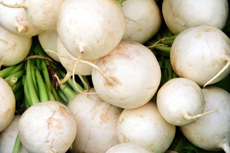 10 Powerful Health Benefits of White Radish: Nutrition, Side Effects, and More 