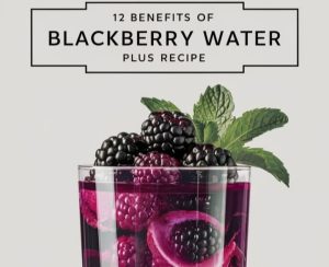 Blackberry Water: 12 Health Benefits, Recipe, Uses & Risks