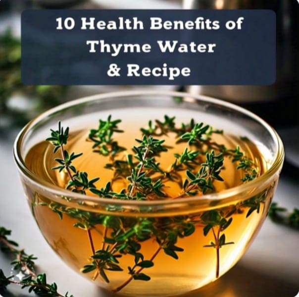 10 Remarkable Health Benefits Of Thyme Water, Recipe, Uses and risks