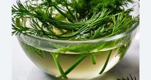 Dill Water: 10 Benefits, Recipe, Uses & Side Effects
