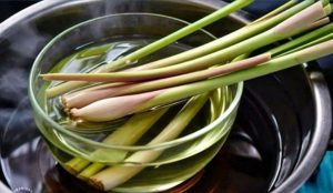Lemongrass Infused Water: Health Benefits, How To Make It, Uses, and Risk
