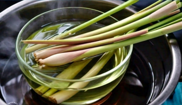 10 Health Benefits Of lemongrass Infused Water, How To Make It, Uses, and Risk