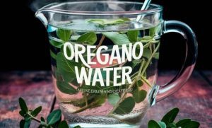 Oregano Water: 12 Benefits, Recipe, Uses & Side Effects