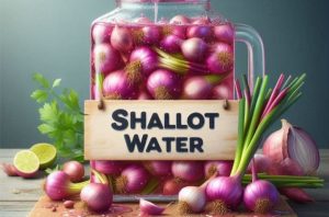 Shallot Water 101: Benefits, Recipe, Uses & Side Effects
