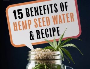 Hemp Seed Water: 15 Benefits, Recipe, Uses & Side Effects