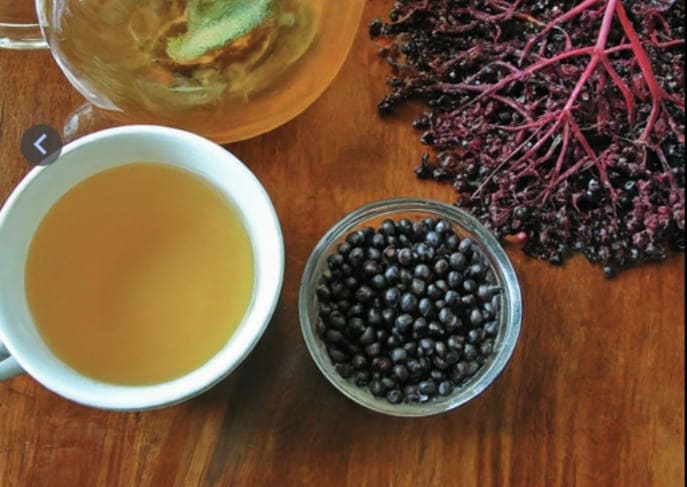 17 Versatile Uses for Elderberry Tea