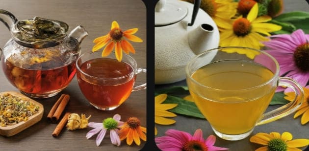 13 Benefits Of Echinacea Tea (+ How To Make It and Uses)