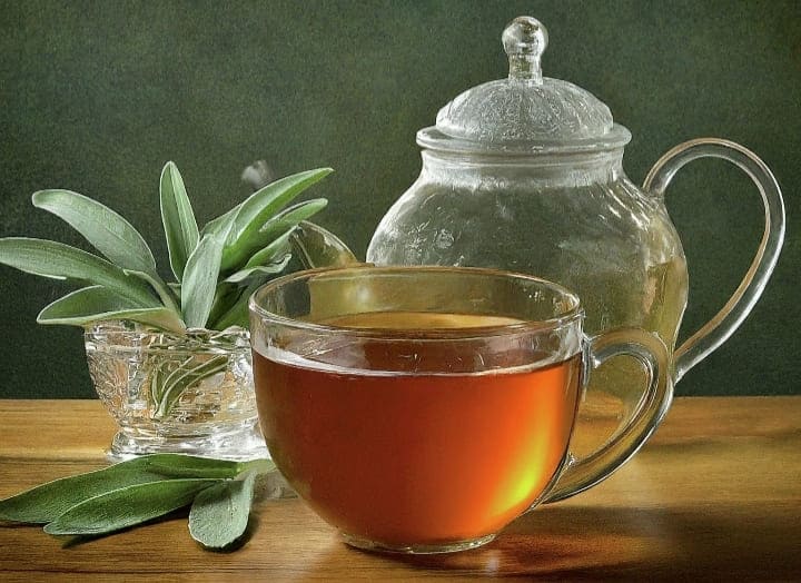 Health Benefits Of Sage Tea and How To Make It