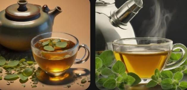 12 Benefits Of Oregano Tea + How To Make It (Recipe)