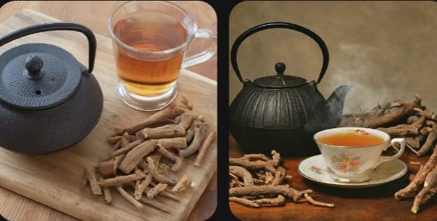 10 Benefits Of Sarsaparilla Tea + How To Make It, Recipes and More