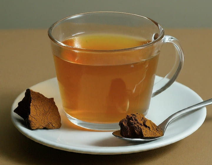 10 Health Benefits Of Chaga Tea + How To Make It