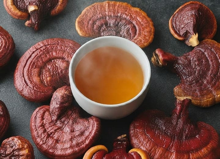 How to Make Reishi Tea (Reishi Mishroom Tea)