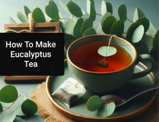 Eucalyptus Tea: Health Benefits, How to Make It and Side Effects